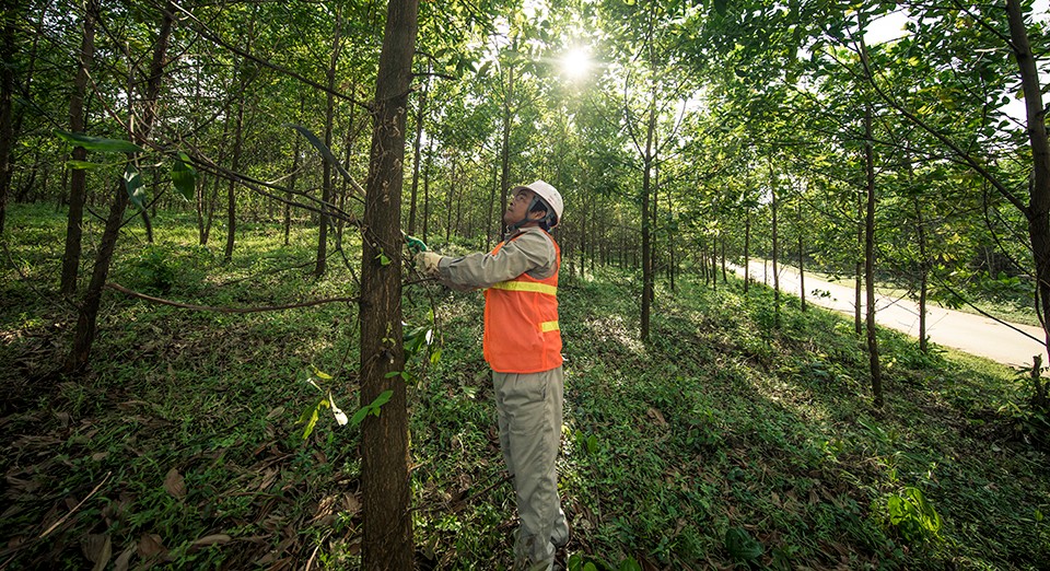 avery dennison foundation supports world wide fund for nature